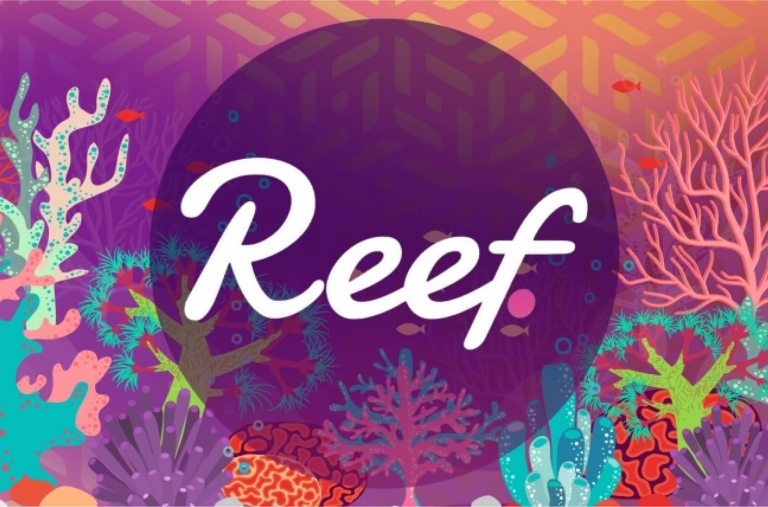 Reef Finance